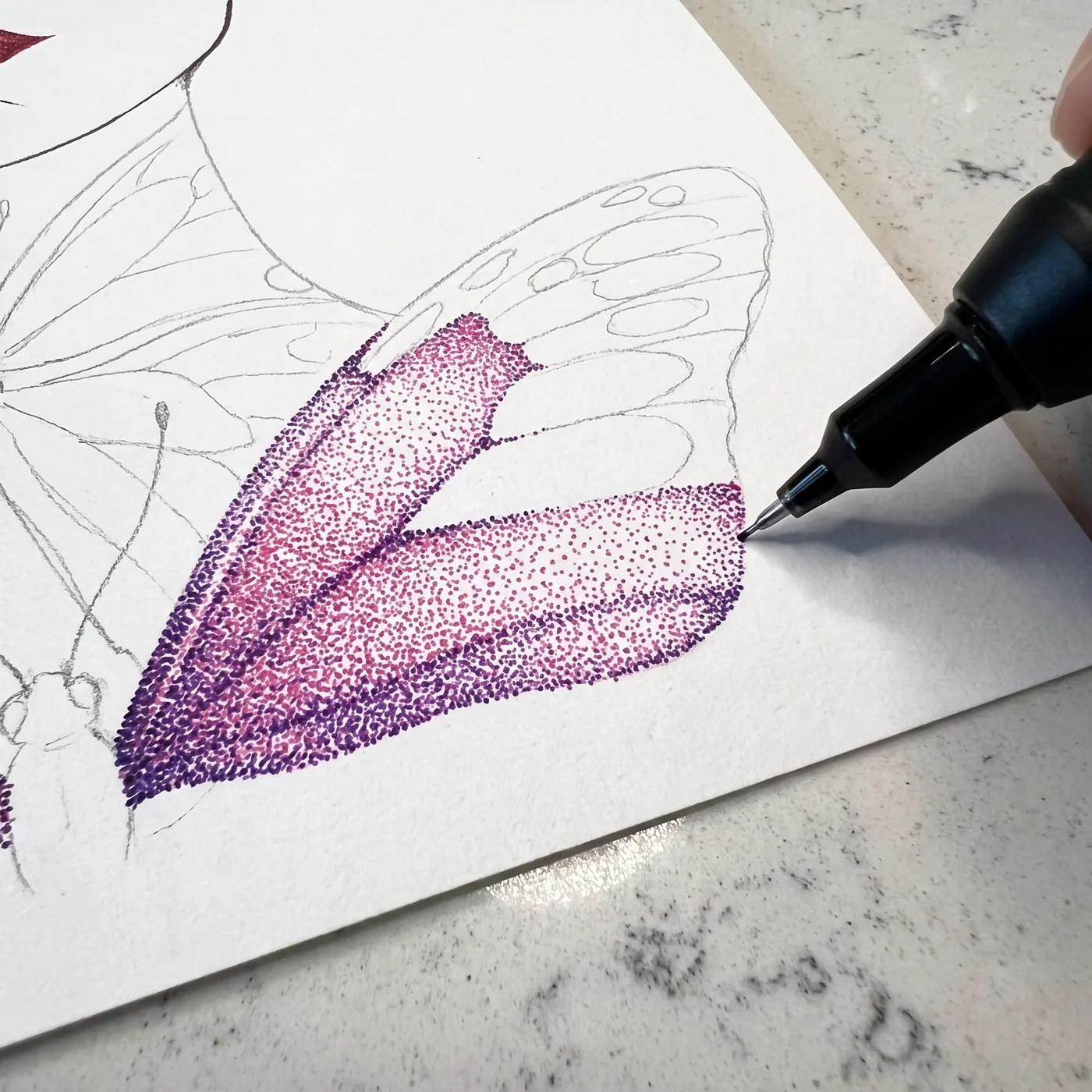 Macro of a stippled butterfly wing with the pen adding dots